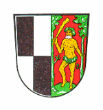 LogoWappen der Stadt Naila