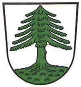 LogoWappen der Stadt Oberviechtach