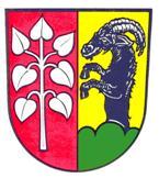 Gemeinde Schwifting