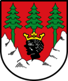 LogoWappen Markt Mittenwald